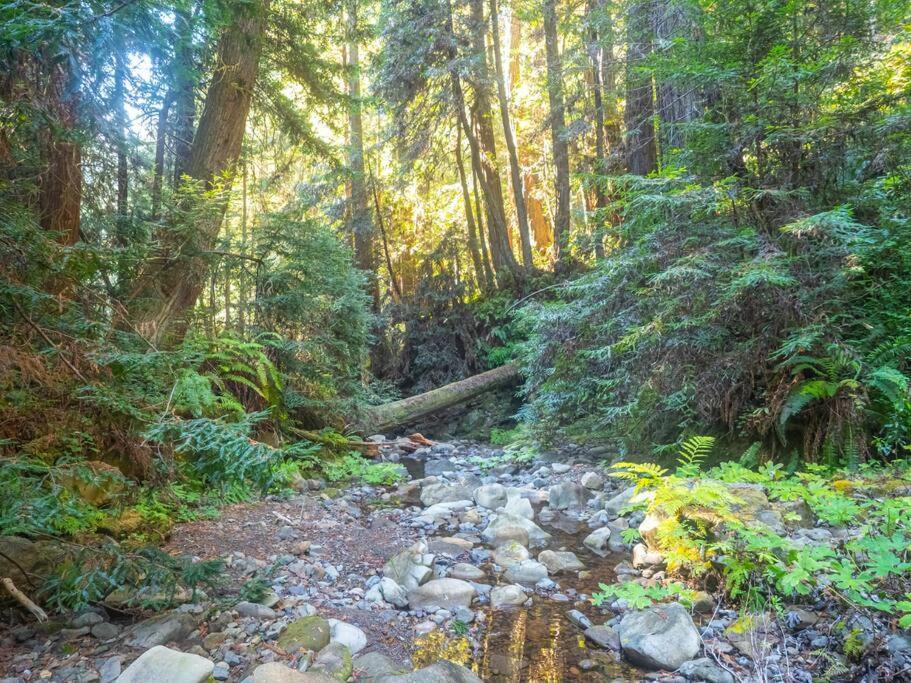 Driftwood Lodge ~ 5 Bedroom / 7 Bath ~ 30-Acre Private Estate On Hwy 1 ~ Hot Tub ~ Oceanview ~ Reunions & Retreats Walsh Landing Exteriör bild