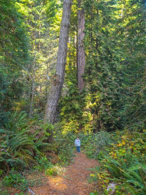 Driftwood Lodge ~ 5 Bedroom / 7 Bath ~ 30-Acre Private Estate On Hwy 1 ~ Hot Tub ~ Oceanview ~ Reunions & Retreats Walsh Landing Exteriör bild